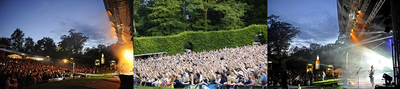 Die Collage zeigt mehrere Momentaufnahmen von Konzerten auf der Freilichtbühne im Hamburger Stadtpark.