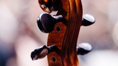 Fotografie  Hals und Kopf einer Violine.