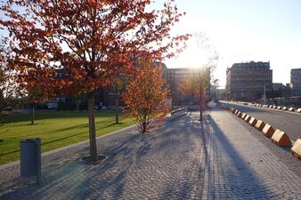 Ein Bild des Lohseparks im Herbst mit einem Baum mit verfärbten Blättern im Vordergrund