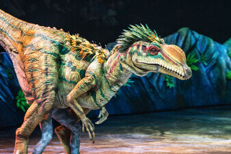 Lilliensternus aus der Show Dinosaurier - Im Reich der Giganten