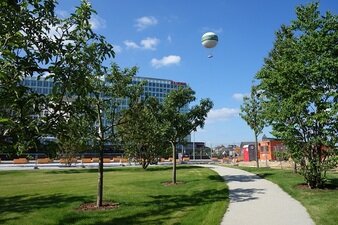 Ein Bild des Lohseparks im Sommer bei blauem Himmel und Sonnenschein