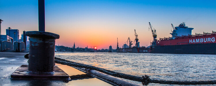 Ein Blick auf den Hamburger Hafen und die Elbe mit Kränen und Schiffen im Hintergrund