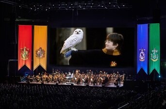 Harry Potter und der Stein der Weisen - In Concert 5